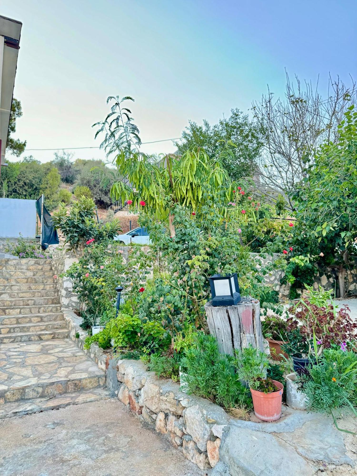 Rose Hotel B&B Patara Exterior photo