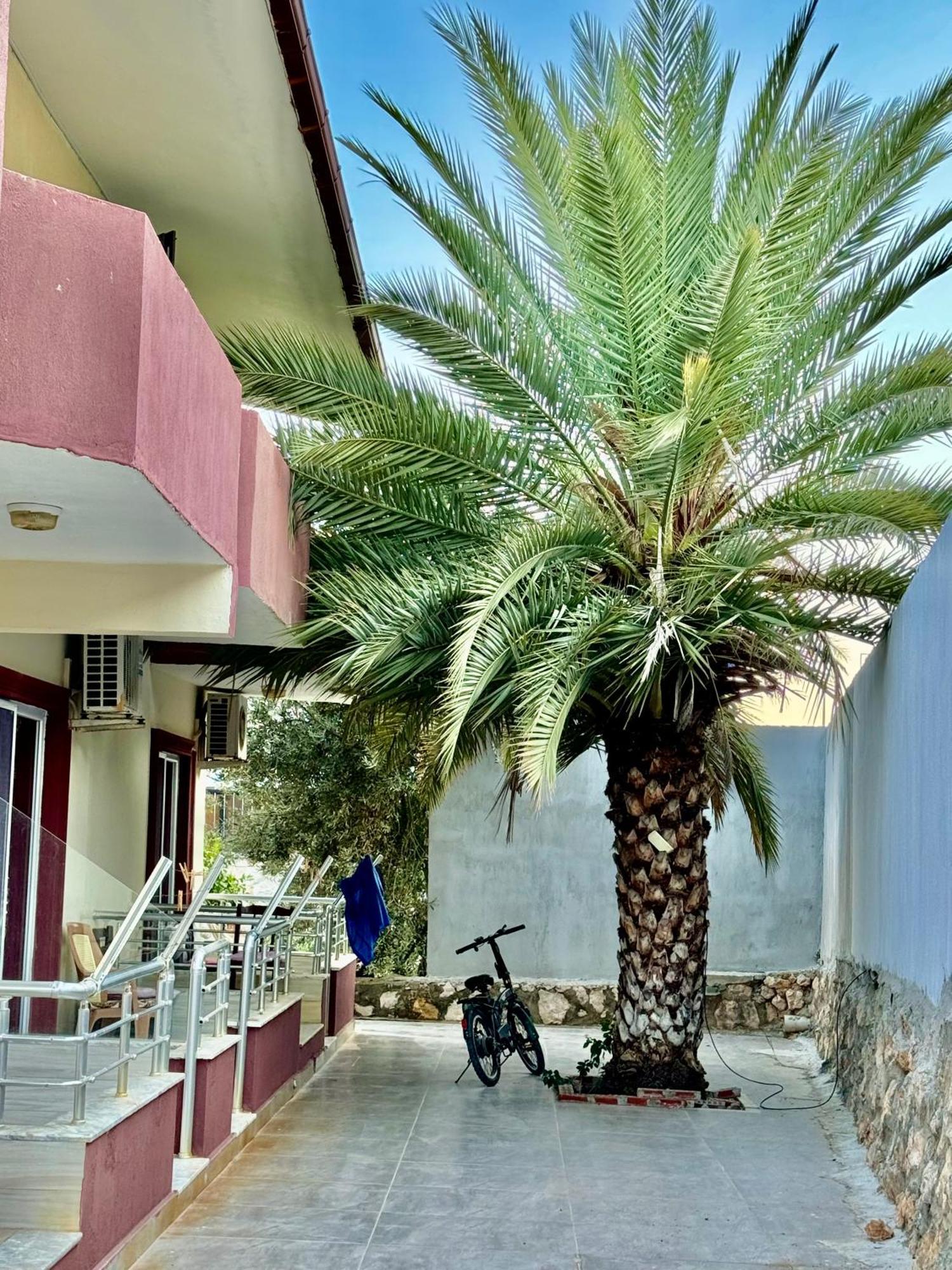 Rose Hotel B&B Patara Exterior photo