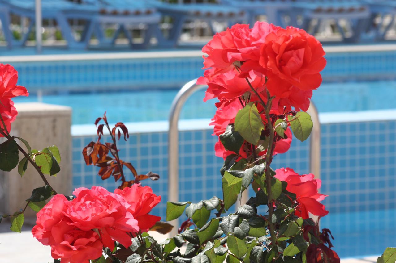 Rose Hotel B&B Patara Exterior photo